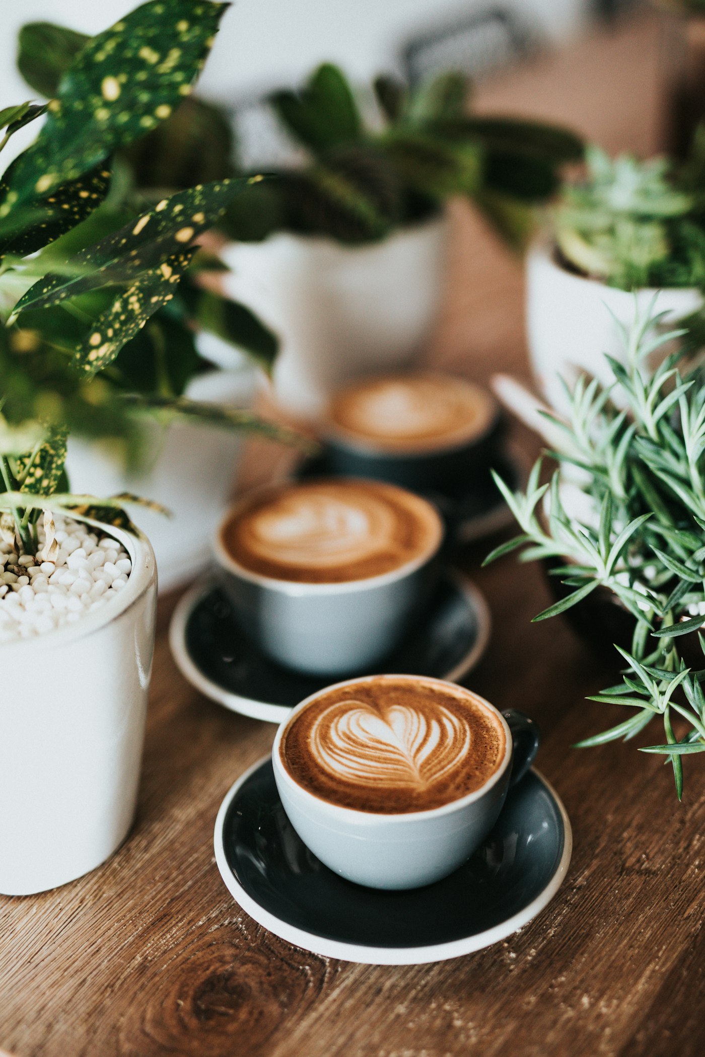 Gratis filterkoffie bij elk gebak